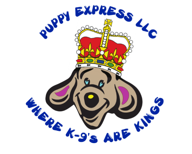 Local & Long Distance Puppy Transportation & Puppies For Sale From Top Breeders. Licensed & Insured.
