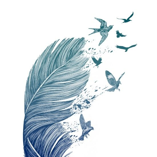 serehnia's profile picture. Licence mathématiques • Licence cinéma et littérature • Master édition