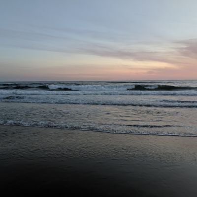 ethanc235's profile picture. 