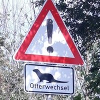 Sankt Müller (@st_muller) 's Twitter Profile