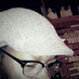Amara Touré (@amara9493) Twitter profile photo Amara Touré (@amara9493) Twitter profile photo