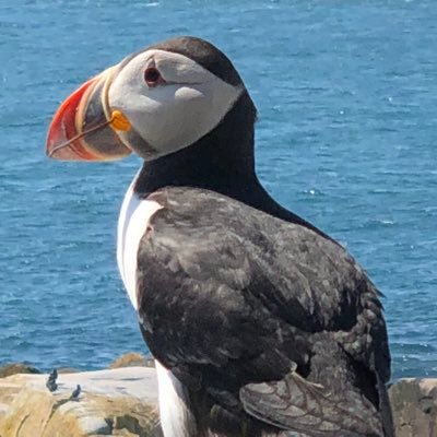 jrutter44's profile picture. @ Colts, @ Reds, @ TheHersheyBears