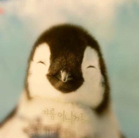 kitsunegari23's profile picture. LG U+(유플러스,파워콤,데이콤,텔레콤)영업업무를 합니다. 가정인터넷, 기업인터넷 등 통신궁금한 점은 연락 주세요 1644-6602