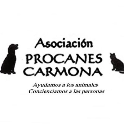 procanesatt's profile picture. 