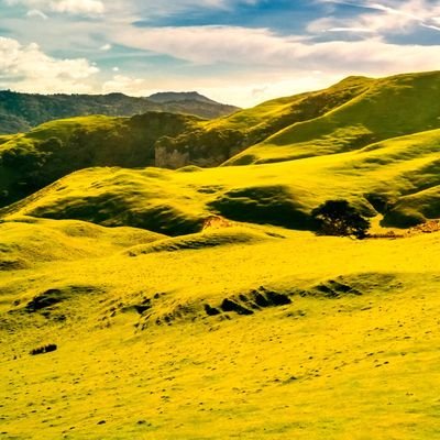 jacobakabijo's profile picture. 