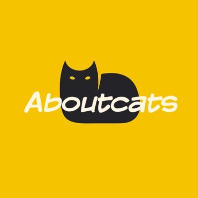 🛫 Preorder ทุกอย่างที่เกี่ยวกับเจ้าเหมียว🐱 ราคาถูกมากกกก‼️ เหมาะสำหรับ #ทาสแมว *ไม่เก็บมัดจำ จ่ายตอนของมา ⚠️cf no cc รอสินค้า 15-20 วัน ดูสินค้าได้ที่ Likes💓