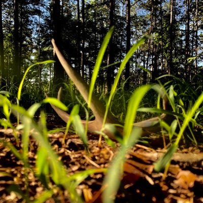 The love for the outdoors!💯 God first!😇 instagram @s3outdoors! #badtothebonephotos