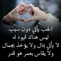 mimo (@mimo88297245) Twitter profile photo