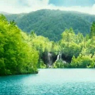 smartd453's profile picture. mood