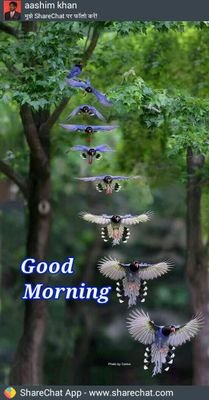 Hari41490514's profile picture. sex