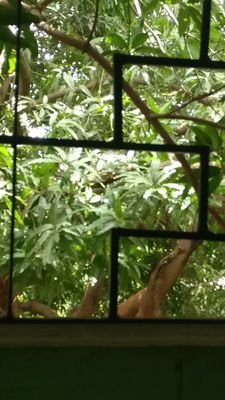 Siddhar57326109's profile picture.