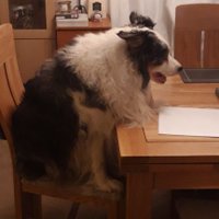 Gary Bain (@garybain1280) 's Twitter Profile Photo