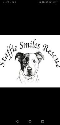 Reg charity we rescue Staffordshire bull terrier and SBT Crosses follow us for: 🐶 dogs 🏡 adoption/foster 🤔 advice 🐾events 📮 staffiesmilesrescue@gmail.com