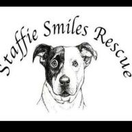 Staffie_smiles_rescues (@rescuessmiles) 's Twitter Profile