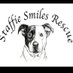 Staffie_smiles_rescues (@RescuesSmiles) Twitter profile photo