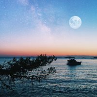 Ψ΄ΩΨ―πΆ (@shahad_osi) 's Twitter Profile