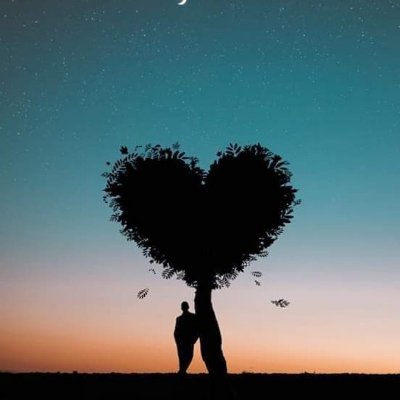 qweer2233456787's profile picture. 