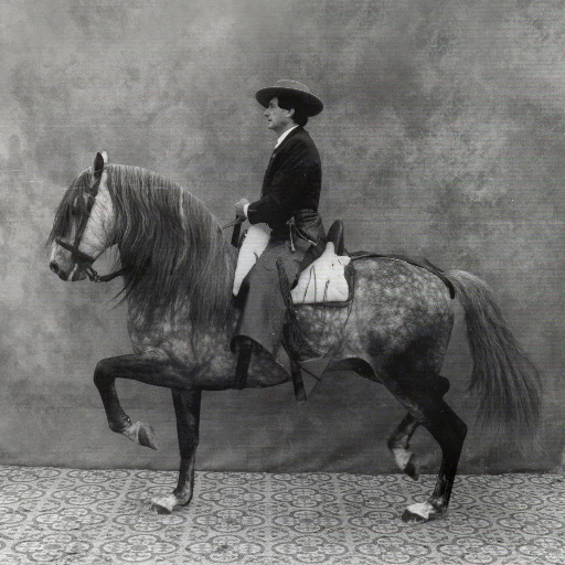Maitland & Poate Profile