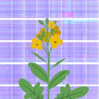 Bancroft Lab (@bancroftlab) 's Twitter Profile Photo