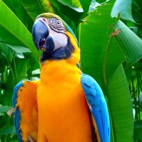 LADINAtour (@ladinatour) 's Twitter Profile