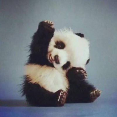 Must-see cute animal video,funny pet video and some tips about pets. Follow my updates. Come and dub the animals.