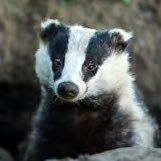 Tyranniclark's profile picture. “Livin' the Dream” | Queer 32 NY | I draw sometimes.