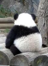 smilepannda's profile picture. i'm a crafter, dreamer, i love travelling, n i believe in a process. so enjoy the process ^^