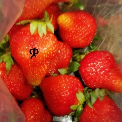 ｱｯﾁｷ🍓さんのプロフィール画像