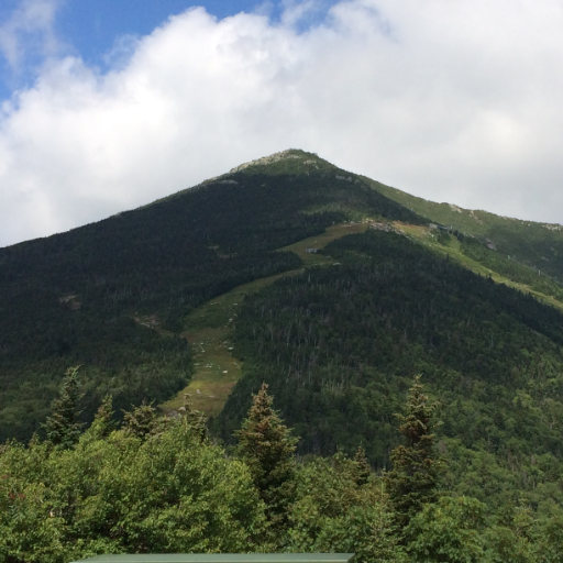 SueMoak1's profile picture. I'm the phys ed teacher at Perkins Elementary, making physical activity FUN!