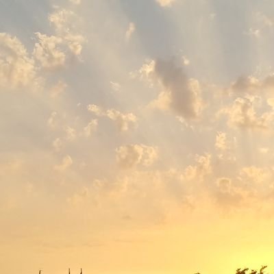 Besun23's profile picture. 주술회전 : 고죠유우/후시이타/스쿠이타/ 이타른
판소러:전독시/내스급/백망되/명급리 등