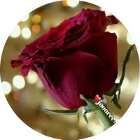 ❤️🇰🇼ام الغوالي ❤️🇰🇼 (@joooree99) 's Twitter Profile