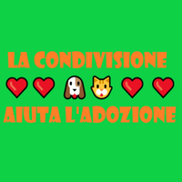 Condivisioni X Adozioni(@AdozioniX) 's Twitter Profileg