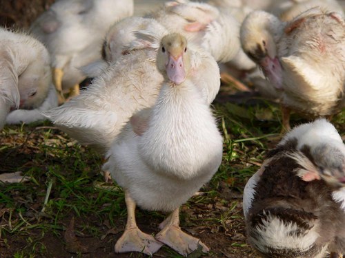 3beanespresso's profile picture. 