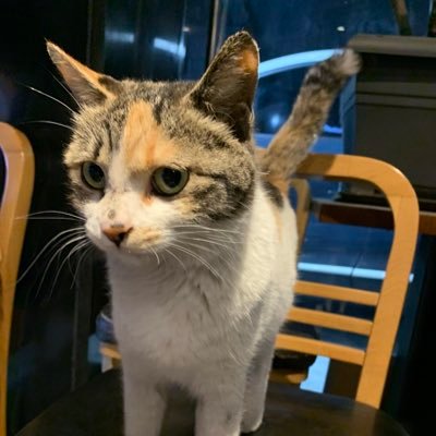 0126040's profile picture. ★