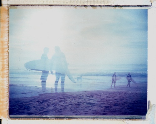 the_sonnets's profile picture. Something bright and pure and kind of blue.