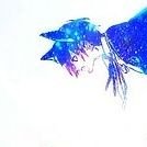 24:00━ログアウトさんのプロフィール画像