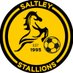 Saltley Stallions F.C (@SaltleySFC) Twitter profile photo