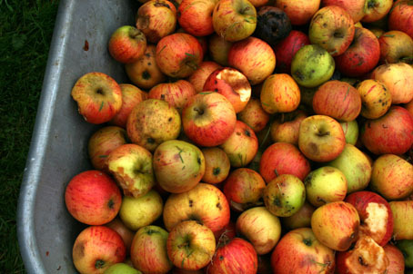 Purveyors of strong local cider since 2007