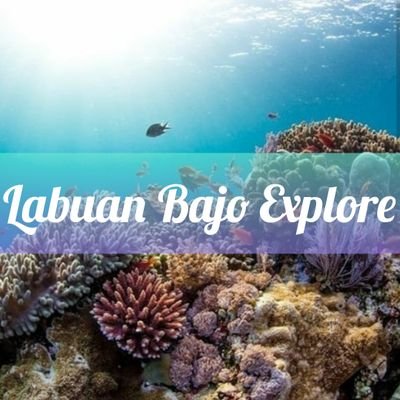 Live on board with Labuan bajo Explore and Komodo will be yours