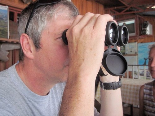 gmayfly's profile picture. 