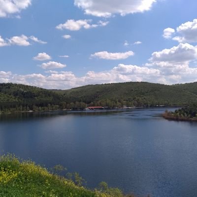 ozlem22220's profile picture. 