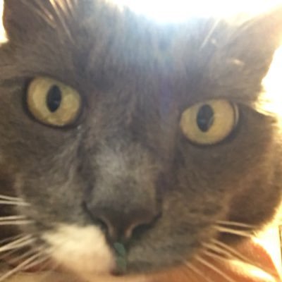 MThomas01041818's profile picture. 