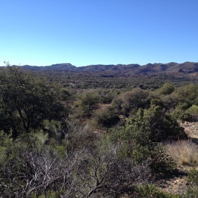 Save_OakFlat's profile picture. This page is dedicated to spreading information about Oak Flat in order to protect it from foreign mining interests.
