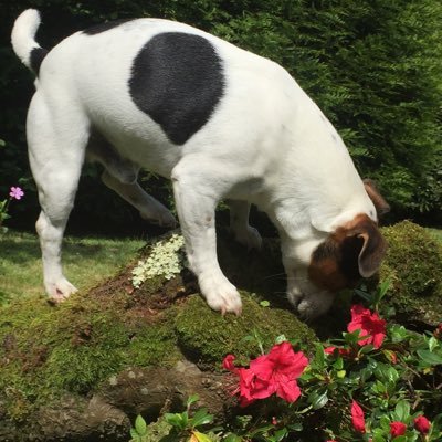 berbonne2's profile picture. 