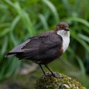 neil goddard - @neilgoddard13 - Twitter