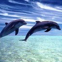 jong lee - @demihades - Twitter