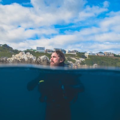 PhD Candidate University of Cape Town, studying movement ecology of Bronze Whalers