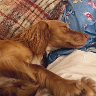 ktnbrad's profile picture. mother, coffee-addict, counsellor, Europe-loving Bruxelloise-Irish Londoner.