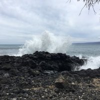 Kimia Menhaji, MD (@kmenhaji_md) 's Twitter Profile