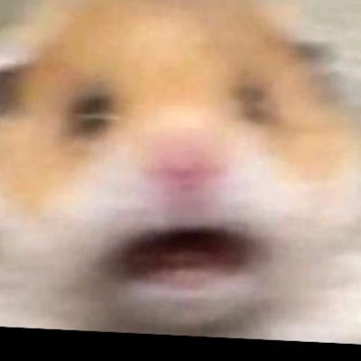 SadSinger2's profile picture. 